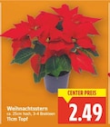 Weihnachtsstern für 2,49 € bei E center im Angebot Weihnachtsstern im aktuellen E center Prospekt