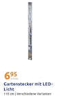 Gartenstecker mit LED-Licht Angebote bei Action Landshut für 6,95 €