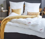 BETTEN-SET im Angebot bei BRAUN Möbel-Center in Sindelfingen BETTEN-SET Angebote von Paradies bei BRAUN Möbel-Center Sindelfingen für 79,95 €