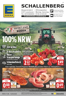 Aktueller EDEKA Prospekt "Aktuelle Angebote" Aktueller EDEKA Prospekt