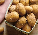 Intermarché Super L'Horme - Promo Pomme de Terre Primeur Promo Pomme de Terre Primeur à 3,39 € dans le catalogue Intermarché Super à L'Horme