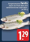 Forelle Angebote bei E center Unna für 1,29 €