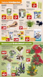 Fasching Angebot & Preis im aktuellen Thomas Philipps Prospekt Fasching Angebot im aktuellen Thomas Philipps Prospekt auf Seite 9