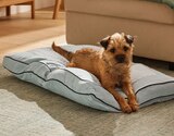 Coussin pour chien été/hiver - ZOOFARI dans le catalogue Lidl