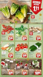 Deko-Blumen Angebot & Preis im aktuellen REWE Prospekt Deko-Blumen Angebot im aktuellen REWE Prospekt auf Seite 9