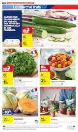 Plante Verte Angebote im Prospekt "LE TOP CHRONO DES PROMOS" von Carrefour Market auf Seite 14