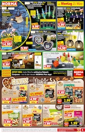 Lichterkette Angebot im aktuellen Norma Prospekt auf Seite 5