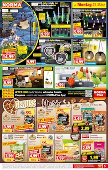 Eis im Norma Prospekt "Mehr fürs Geld" mit 20 Seiten (Berlin)