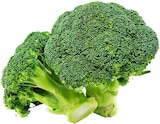 Broccoli im Angebot bei REWE in Castrop-Rauxel Broccoli Angebote von REWE Regional bei REWE Castrop-Rauxel für 1,11 €
