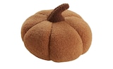 Kissen Kürbis Angebote bei Sconto SB Rostock für 8,46 €