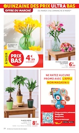 Offre Aménagement Extérieur dans le catalogue Super U du moment à la page 24