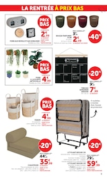 Offre Plante Artificielle dans le catalogue Super U du moment à la page 9