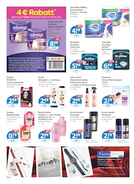 V-Markt Parfum im Prospekt 