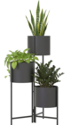Blumenständer von Landscape im aktuellen XXXLutz Möbelhäuser Prospekt für 19,90 €