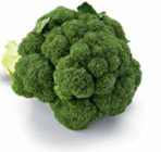 Broccoli im Angebot bei Netto Marken-Discount in Paderborn Broccoli Angebote bei Netto Marken-Discount Paderborn für 1,00 €