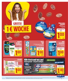 EDEKA Weihenstephan im Prospekt 