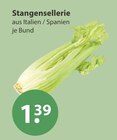 Stangensellerie Angebote bei V-Markt Regensburg für 1,39 €