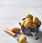 Promo Pomme de terre de consommation à chair ferme à 1,99 € dans le catalogue U Express à Pont-Saint-Esprit