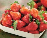 Intermarché Contact Bailleau-le-Pin - Promo Fraise Ronde Promo Fraise Ronde à 2,99 € dans le catalogue Intermarché Contact à Bailleau-le-Pin