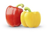 Bio Mixpaprika im Angebot bei E center in Leonberg Bio Mixpaprika Angebote von EDEKA bei E center Leonberg