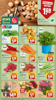 Pfanne im aktuellen REWE Prospekt (Düsseldorf) Pfanne im REWE Prospekt "Dein Markt" mit 22 Seiten (Düsseldorf)