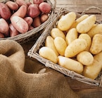 Promo Pommes de terre de consommation à chair ferme Intermarché Terroirs à 1,59 € dans le catalogue Intermarché Hyper à Basse-Ham