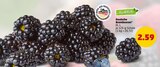 Brombeeren von Marktliebe im aktuellen Penny Prospekt