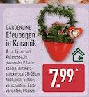 Efeubogen in Keramik von Gardenline im aktuellen ALDI Nord Prospekt für 7,99 €