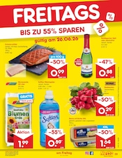 Ähnliche Aussaaterde Angebote im Prospekt "Aktuelle Angebote" von Netto Marken-Discount Ähnliches Angebot bei Netto Marken-Discount in Prospekt "Aktuelle Angebote" gefunden auf Seite 51
