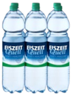 sanft im Angebot bei Kaufland in Konstanz sanft Angebote von Eiszeit Quell bei Kaufland Konstanz für 4,44 €