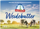 Weidebutter von Ammerländer im aktuellen Netto mit dem Scottie Prospekt für 1,49 €