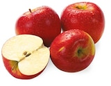 REWE Hainburg - Rote Tafeläpfel Angebot im Prospekt Rote Tafeläpfel bei REWE im Hainburg Prospekt für 1,69 €