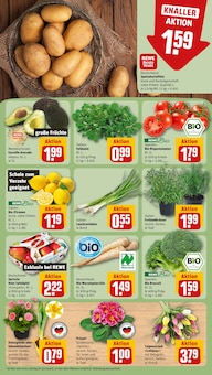 Kartoffeln im REWE Prospekt "Dein Markt" mit 20 Seiten (Erlangen)