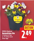 Hornveilchen-Trio von EDEKA Regional für 2,49 € bei E center im Angebot Hornveilchen-Trio von EDEKA Regional im aktuellen E center Prospekt