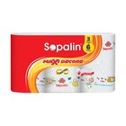 Essuie-Tout - SOPALIN dans le catalogue Carrefour Market