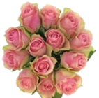 Kaufland Rheda-Wiedenbrück Prospekt mit  im Angebot für 5,99 €