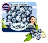 Blaues Wunder im Angebot bei Kaufland in Dinslaken Blaues Wunder Angebote von SanLucar bei Kaufland Dinslaken für 2,22 €