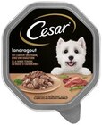 Hundenahrung im Angebot bei REWE in Gelsenkirchen Hundenahrung Angebote von Cesar bei REWE Gelsenkirchen für 0,75 €