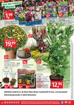 Blumenerde Blumenerde