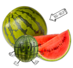 Bio-Mini-Wassermelone von Naturgut für 1,99 € bei Penny im Angebot Bio-Mini-Wassermelone von Naturgut im aktuellen Penny Prospekt