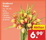 Großbund Tulpen im Angebot bei Netto Marken-Discount in Königswinter Großbund Tulpen Angebote bei Netto Marken-Discount Königswinter für 6,99 €