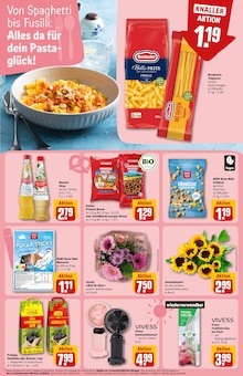 Pflanzen im aktuellen REWE Prospekt (Nürnberg) Pflanzen im REWE Prospekt "Dein Markt" mit 30 Seiten (Nürnberg)