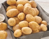 Pomme de terre primeur de noirmoutier - Super U à Nancy Pomme de terre primeur de noirmoutier en promo chez Super U Nancy à 2,54 €