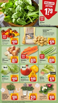 Mixer Angebot im aktuellen REWE Prospekt auf Seite 7