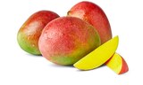 Penny Delmenhorst - Mango Angebot im Prospekt Mango bei Penny im Delmenhorst Prospekt für 0,79 €