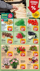 Ähnliche Buchsbaum Angebote im Prospekt "Dein Markt" von REWE in Halle Ähnliche Angebote wie Buchsbaum im Prospekt "Dein Markt" auf Seite 7 von REWE in Halle