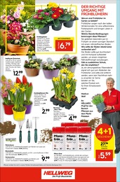 Mixer Angebot im aktuellen Hellweg Prospekt auf Seite 16