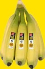 EDEKA - Bananen Angebot im Prospekt Bananen bei EDEKA im Prospekt "" für 1,00 €