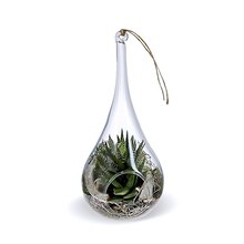Nature & Découvertes Aix-en-Provence - GRAND TERRARIUM GOUTTE Promo GRAND TERRARIUM GOUTTE dans le catalogue Nature & Découvertes "Nos indispensables" à Aix-en-Provence