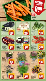 Blumen im aktuellen REWE Prospekt (Göttingen) Blumen im REWE Prospekt "Dein Markt" mit 18 Seiten (Göttingen)